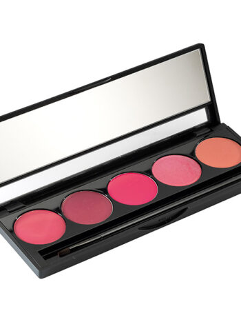 Paleta de barras de labios colores fríos 5x1.5g