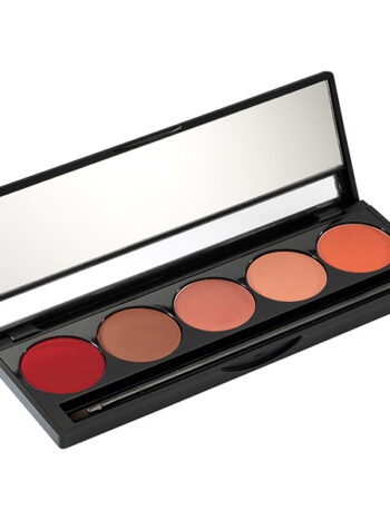 Paleta de barras de labios colores cálidos 5x1.5g