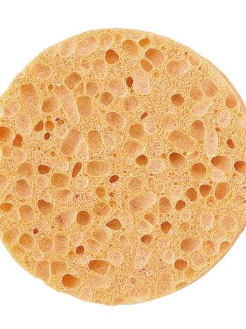Esponja natural para el cuerpo