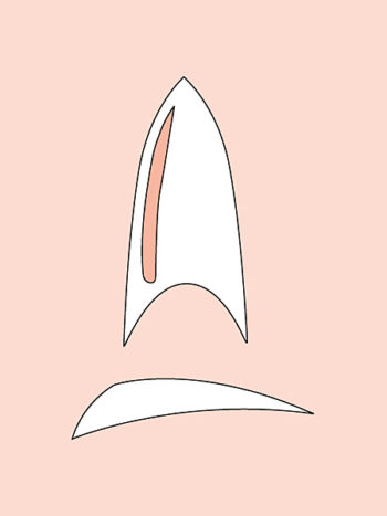 50 capsulas  profesionales Stiletto clear