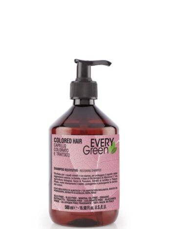 EVERYGREEN CABELLO COLOREADO CHAMPU 500 ml