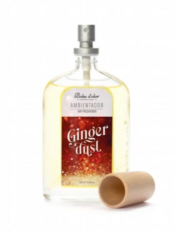 AMBIENTADOR SPRAY 100 ML GINGER DUST
