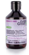 EVERYGREEN REGENERANTE CHAMPU  250 ML