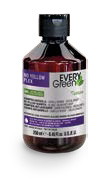 EVERYGREEN ANTI AMARILLO CHAMPU 250 ML