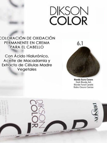 DIKSON COLOR THE SUPER COLOR 120 ML 6.1