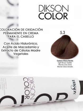 DIKSON COLOR THE SUPER COLOR 120 ML 5.3