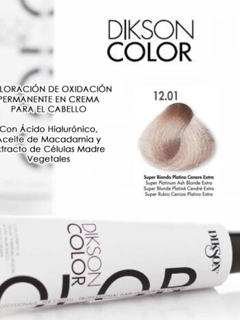 DIKSON COLOR THE SUPER COLOR 120 ML 12.01