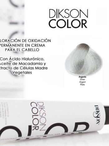 DIKSON COLOR THE SUPER COLOR 120 ML SILVER